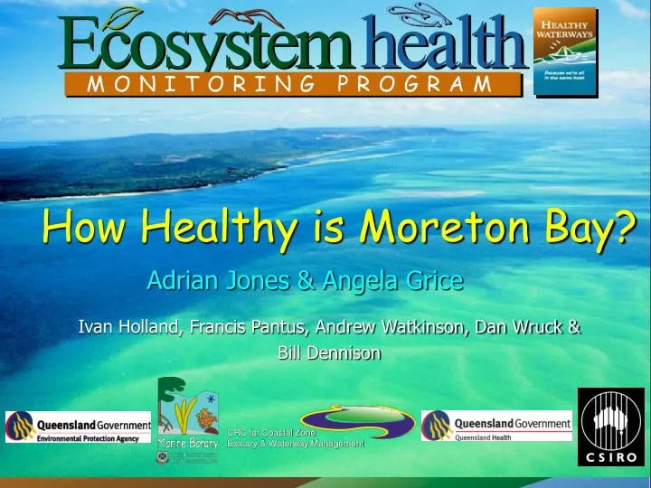 how healthy is moreton bay