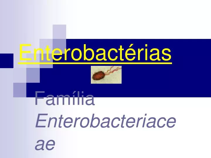 enterobact rias
