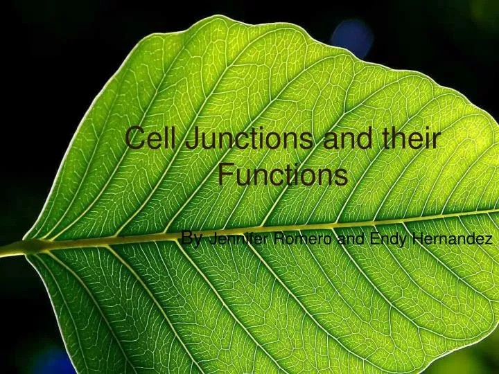 cell junctions and their functions