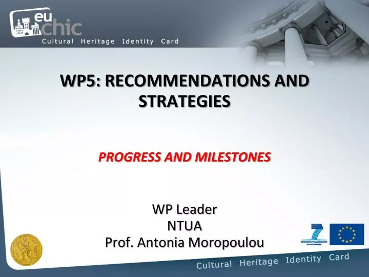 wp5 recommendations and strategies