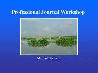 Professional Journal Workshop