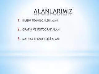 alanlarimiz
