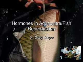 Hormones in Aquacultre/Fish Reproduction