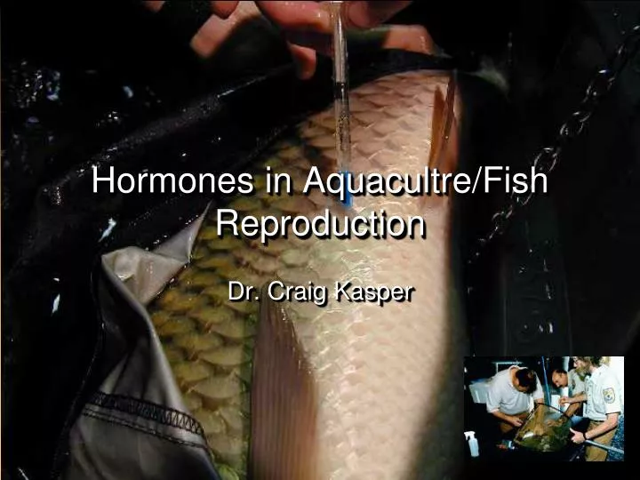 hormones in aquacultre fish reproduction