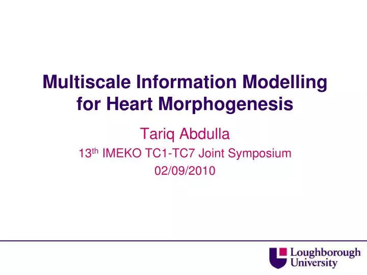multiscale information modelling for heart morphogenesis