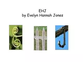 EHJ by Evelyn Hannah Jones