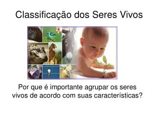 classifica o dos seres vivos