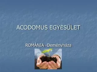 acodomus egyes let