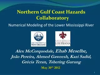 Numerical Modeling of the Lower Mississippi River