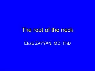 The root of the neck