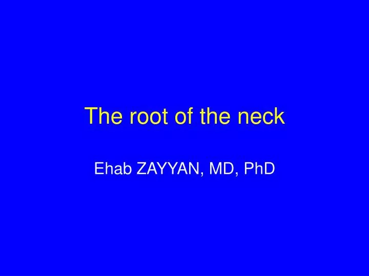 the root of the neck