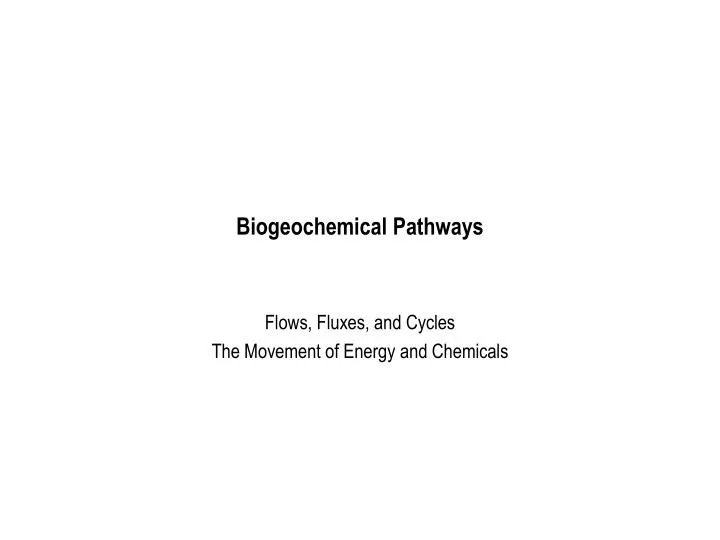 biogeochemical pathways