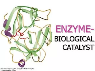 ENZYME- BIOLOGICAL CATALYST