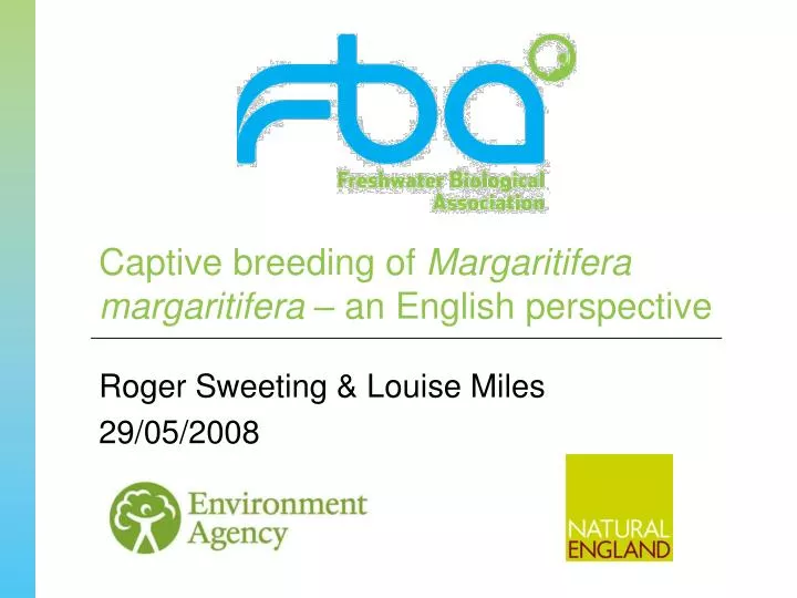 captive breeding of margaritifera margaritifera an english perspective