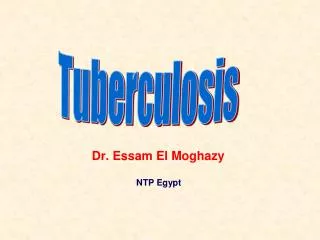 Dr. Essam El Moghazy NTP Egypt