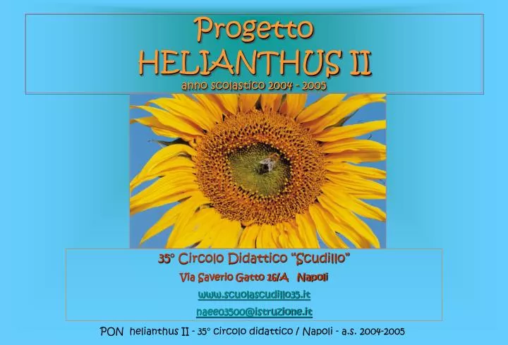 progetto helianthus ii anno scolastico 2004 2005