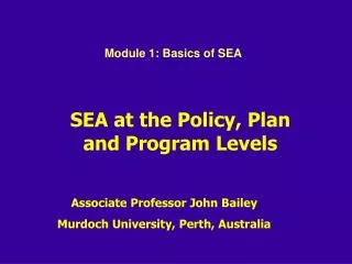 SEA at the Policy, Plan and Program Levels