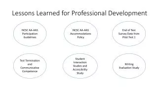 Lessons Learned for Professional Development