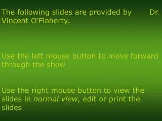 Use the left mouse button to move forward through the show