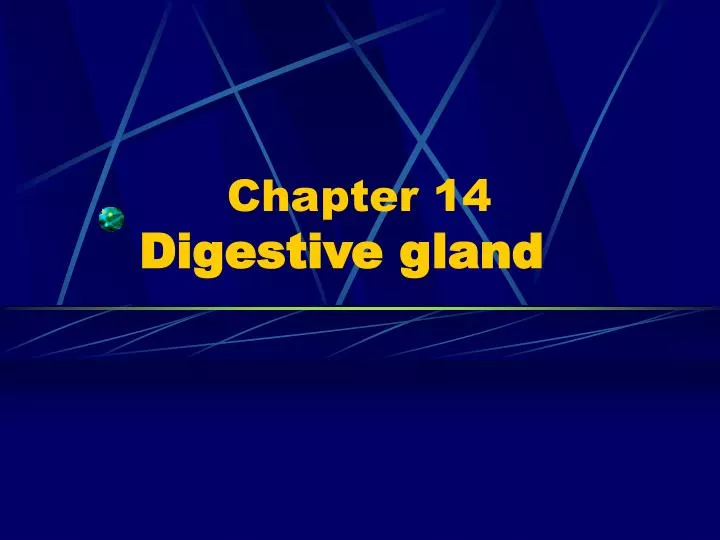 chapter 14 digestive gland