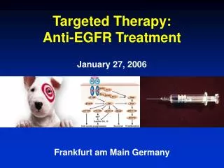 Targeted Therapy: Anti-EGFR Treatment