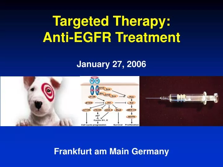 targeted therapy anti egfr treatment