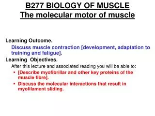 B277 BIOLOGY OF MUSCLE The molecular motor of muscle