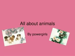 All about animals