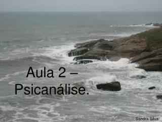aula 2 psican lise