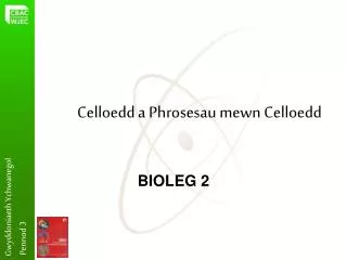 celloedd a phrosesau mewn celloedd