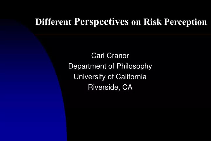 different perspectives on risk perception
