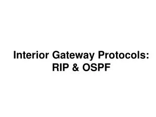 Interior Gateway Protocols: RIP &amp; OSPF