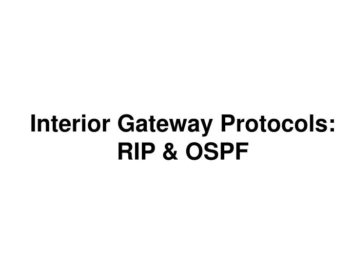 interior gateway protocols rip ospf