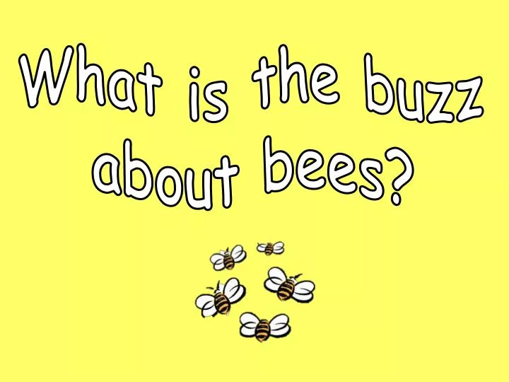 what is the buzz about bees