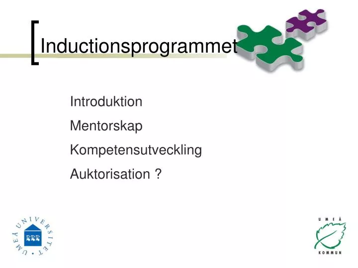 inductionsprogrammet