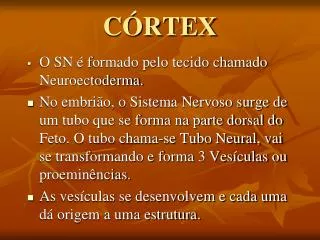 c rtex