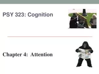 PSY 323: Cognition