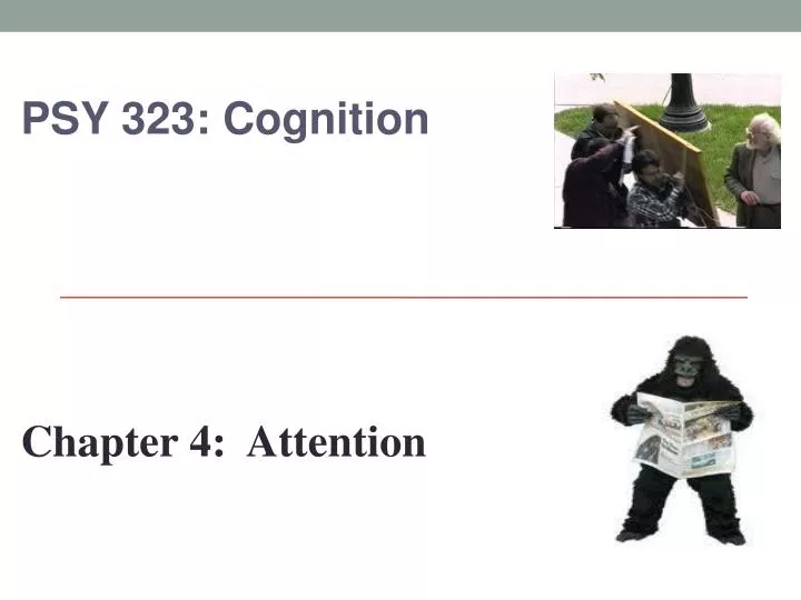 psy 323 cognition