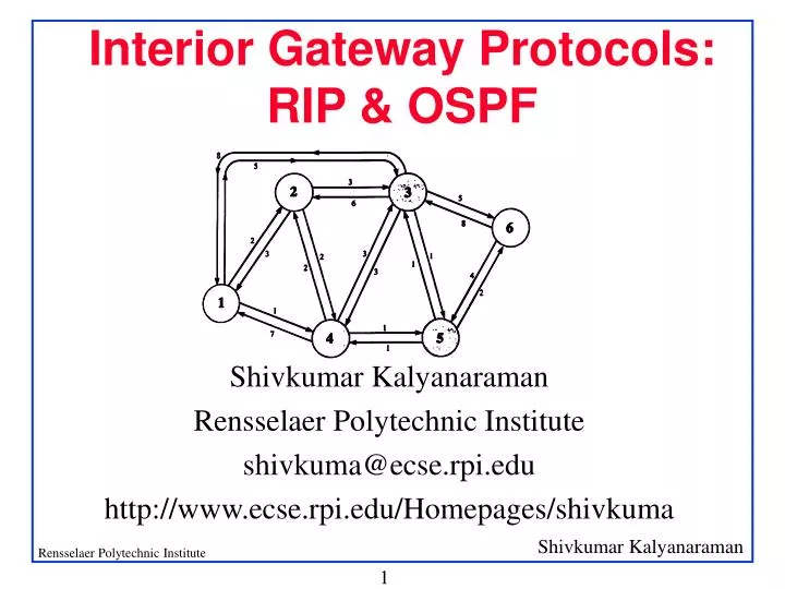 interior gateway protocols rip ospf