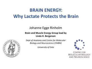 BRAIN ENERGY: Why Lactate Protects the Brain