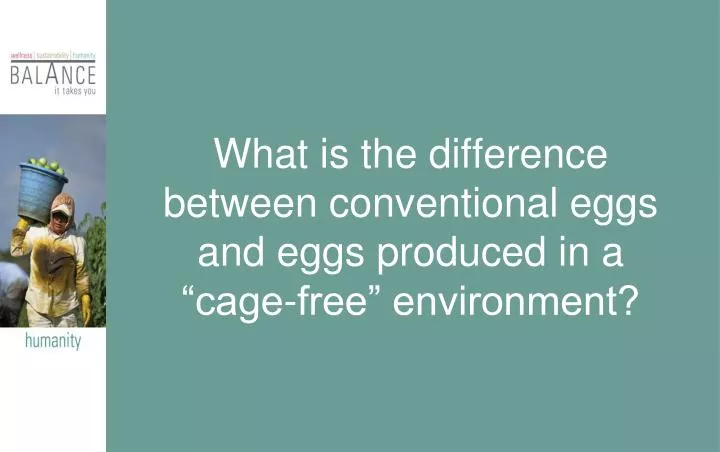 what is the difference between conventional eggs and eggs produced in a cage free environment