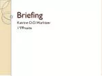 Briefing - slide 1