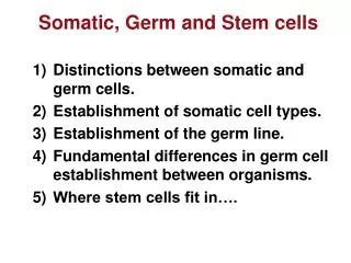 Somatic, Germ and Stem cells
