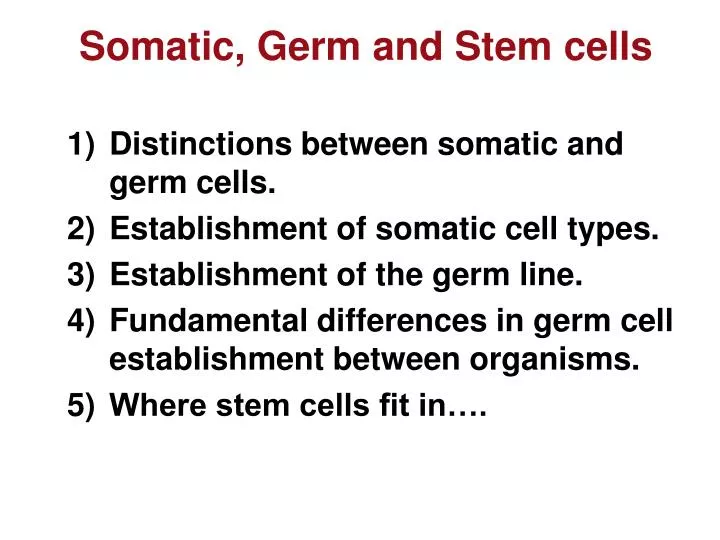 somatic germ and stem cells
