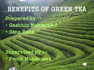 BENEFITS OF GREEN TEA
