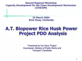 A.T. Biopower Rice Husk Power Project PDD Analysis