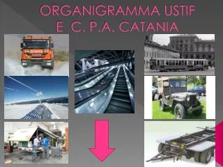 organigramma ustif e c p a catania