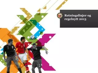 retningslinjer og regelnytt 2013