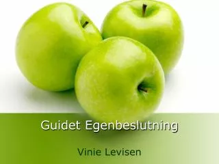 guidet egenbeslutning