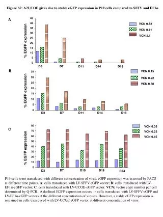 Figure S2: A2UCOE gives rise to stable eGFP expression in P19 cells compared to SFFV and EF1?.